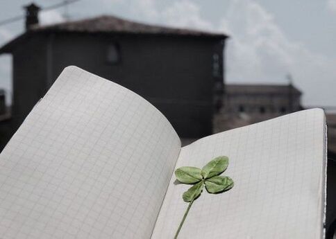 Four-leaf clover – a lucky charm