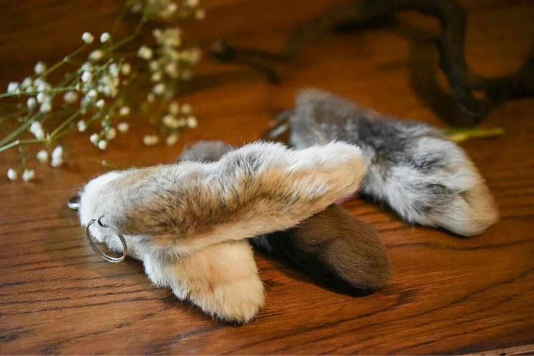 Rabbit foot for luck